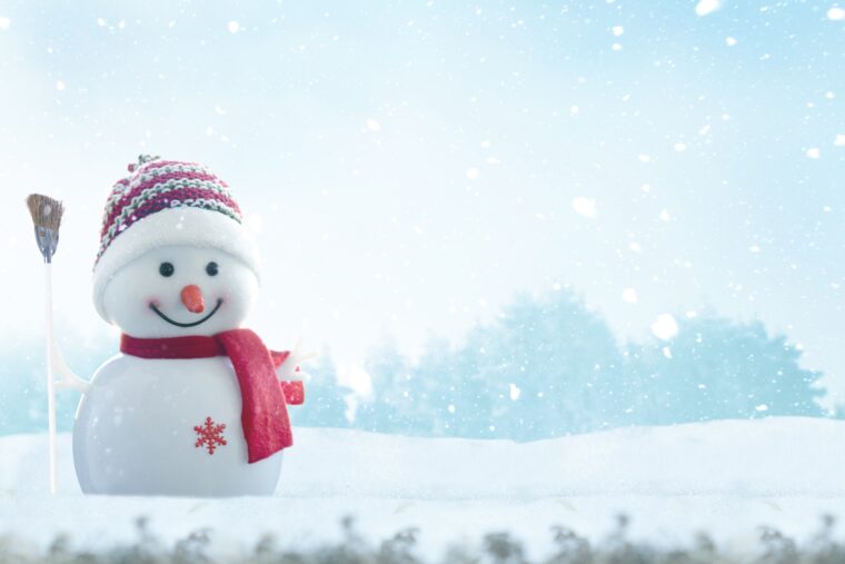 雪景色人形とゆきだるま